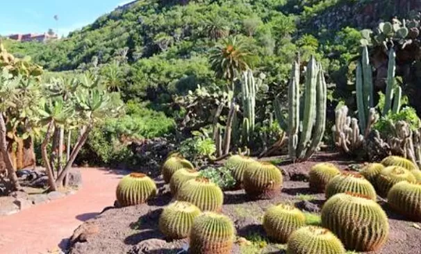 Qué ver y visitar en Gran Canaria top lugares