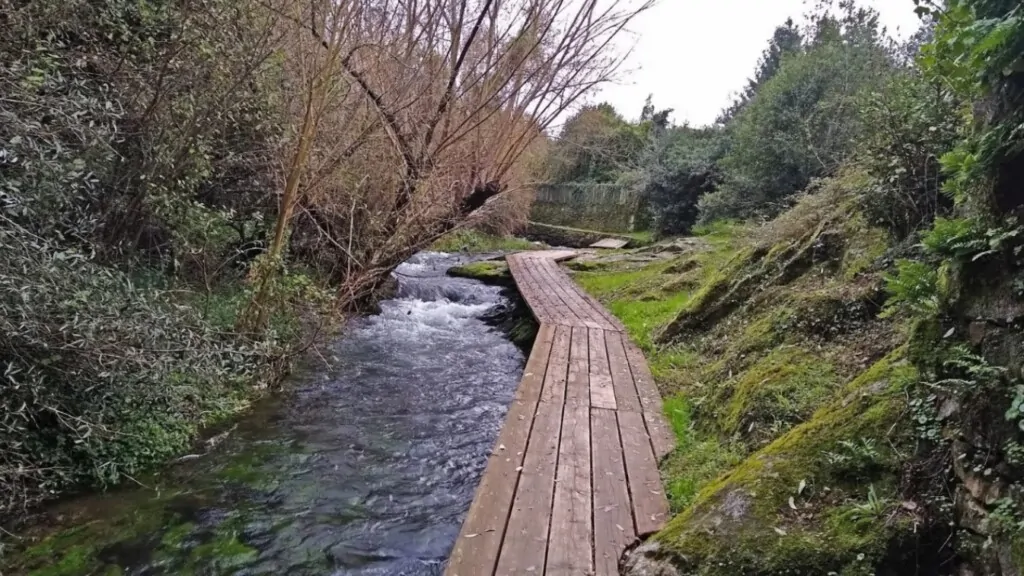 Paseo Fluvial do río Sarela Santiago de Compostela